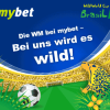 Deutschland gegen Ghana WM-Tipp & Wettquoten – Gewinnt heute Deutschland?