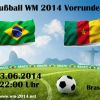 ARD live: Kamerun – Brasilien