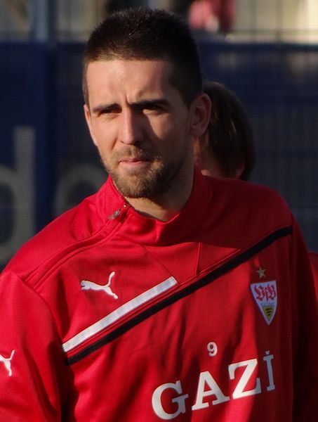 Vedad Ibisevic